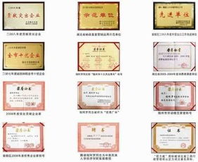 ISO9001 的核心作用及其在企業中的實際應用